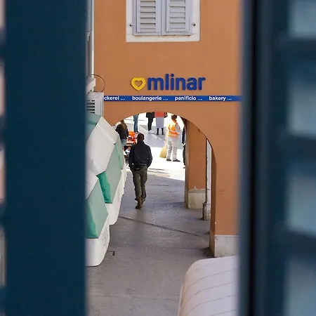 Barbaro רוביני