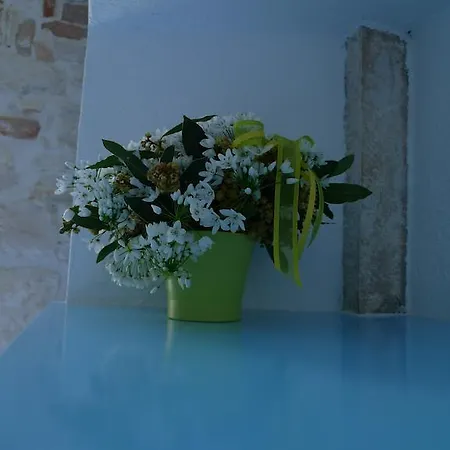 Appartamento Barbaro