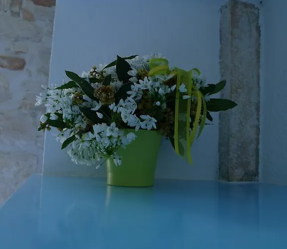 Διαμέρισμα Barbaro